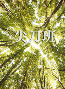 朝桐光一区二区